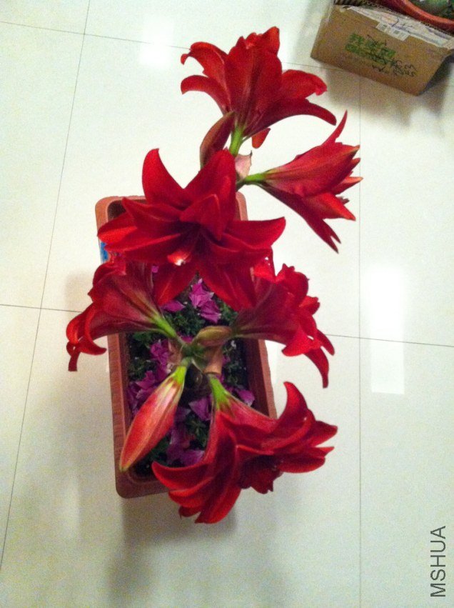 ˫�ؾ�ϲ 028.jpg