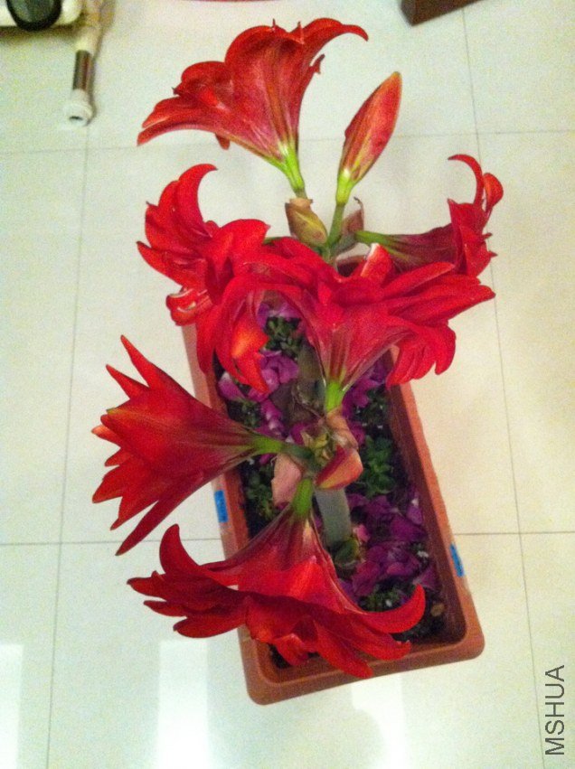˫�ؾ�ϲ 029.jpg