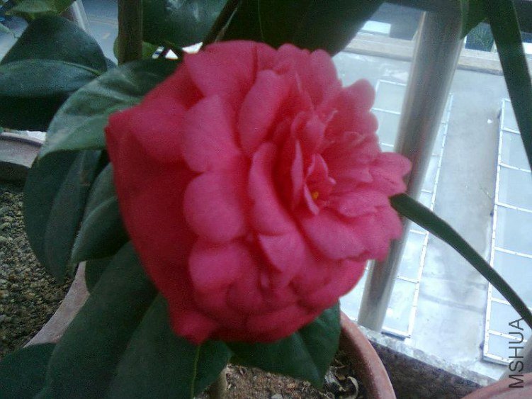 ��Ƭ0028.jpg