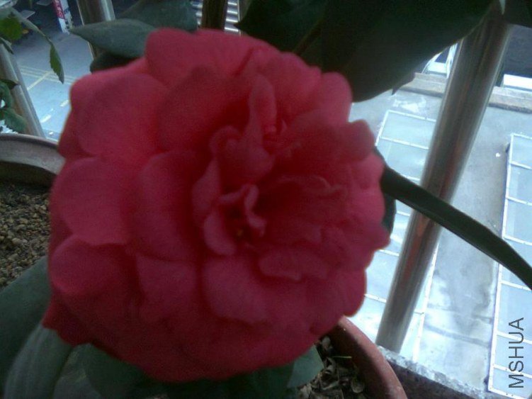 ��Ƭ0029.jpg