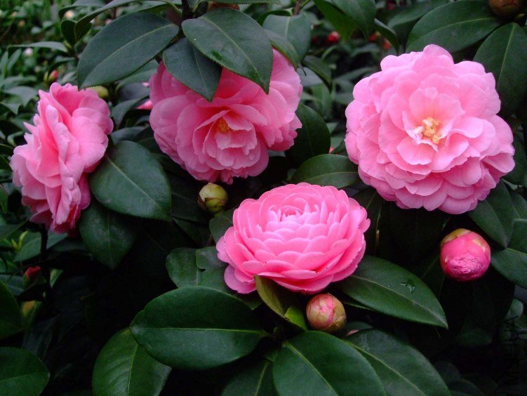 �������� 2013-3-13 041.jpg
