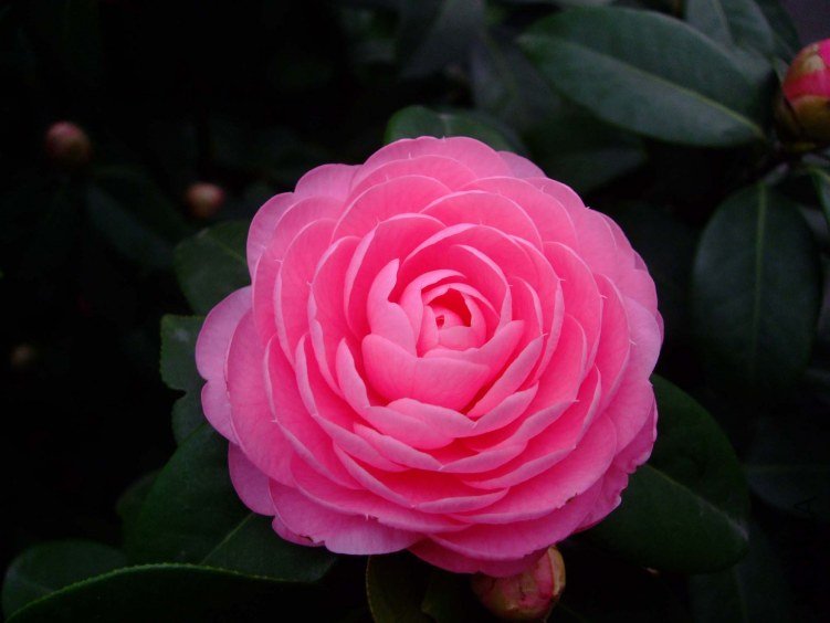 �������� 2013-3-13 042.jpg