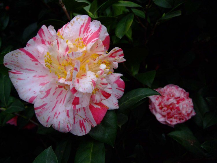 ������ 2013-3-13 070.jpg