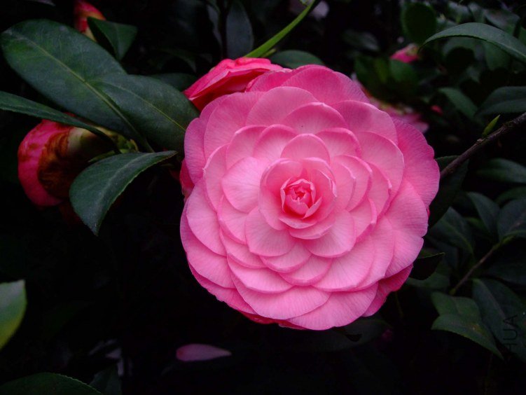 ̫���� 2013-3-13 045.jpg