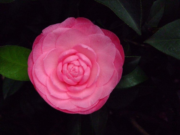 ̫���� 2013-3-13 058.jpg