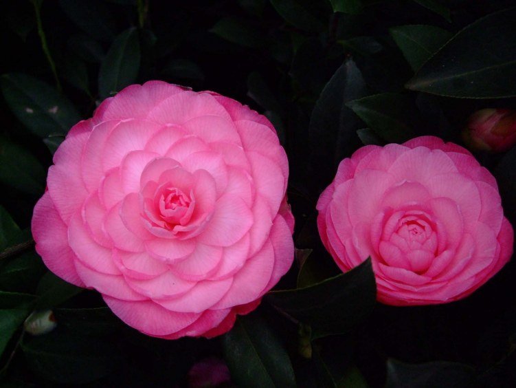 ̫���� 2013-3-13 059.jpg