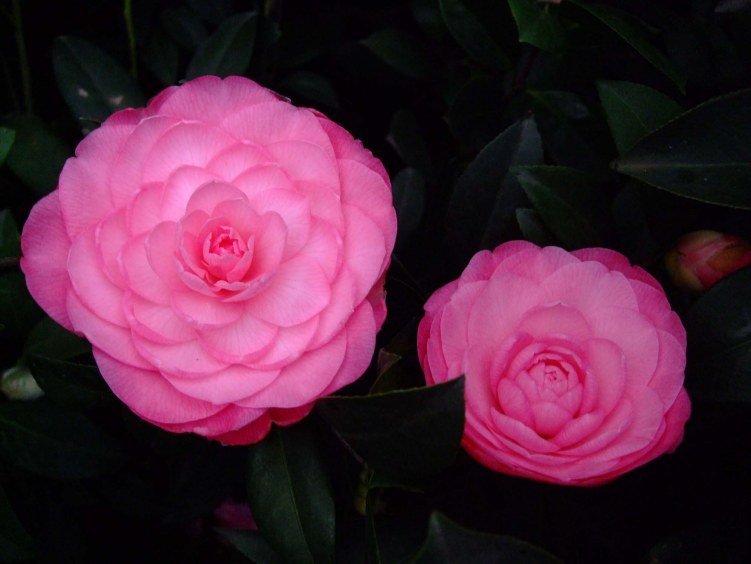 ̫���� 2013-3-13 060.jpg