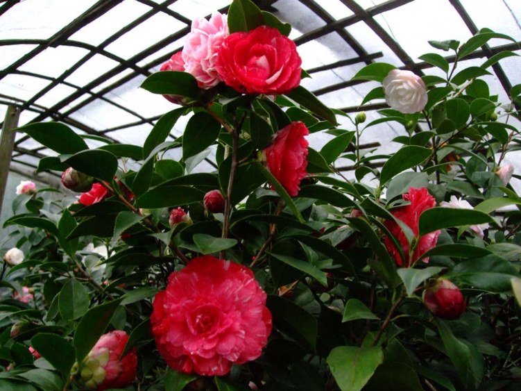 ԧ���ڵ� 2013-3-13 054.jpg