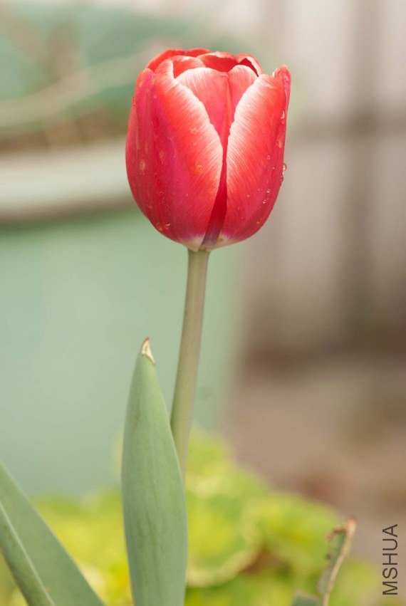 DSC_0024.jpg