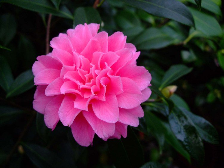 �۴��� 2013-3-14 049.jpg