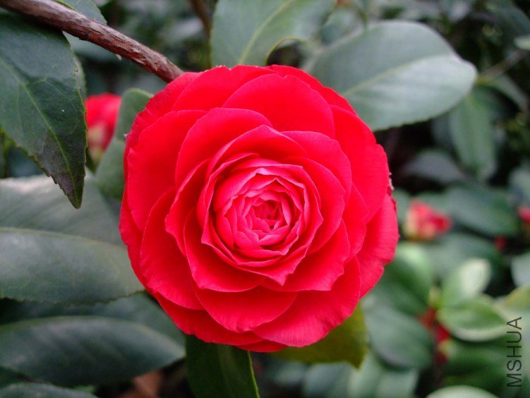 ���� 2013-3-14 147.jpg