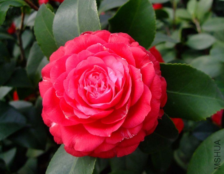 ���� 2013-3-14 148.jpg