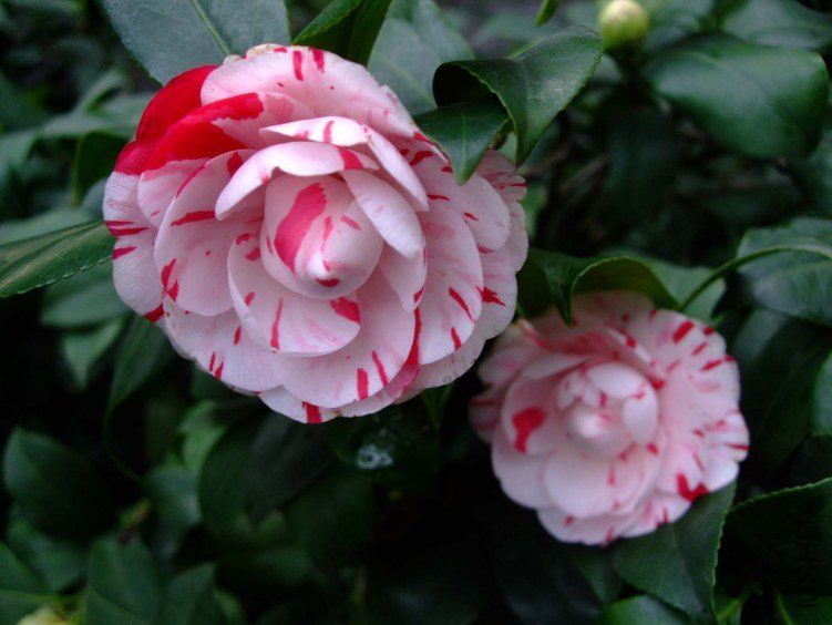 ������ 2013-3-14 082.jpg