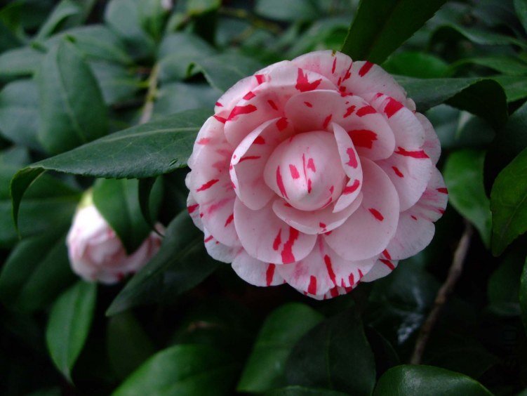 ������ 2013-3-14 084.jpg