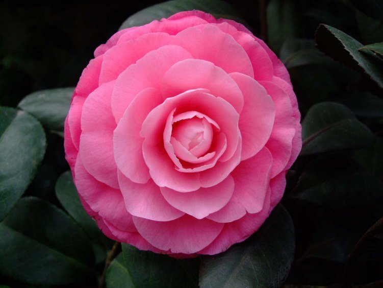 �ղ��� 2013-3-14 166.jpg