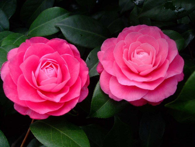 �ղ��� 2013-3-14 168.jpg