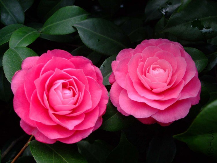 �ղ��� 2013-3-14 169.jpg