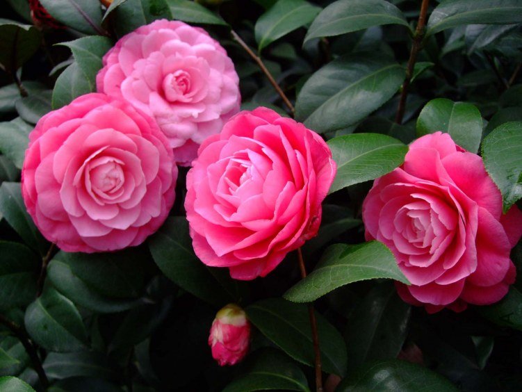 �ղ��� 2013-3-14 172.jpg