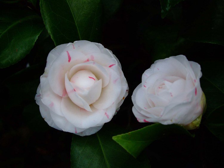 �������� 2013-3-14 066.jpg