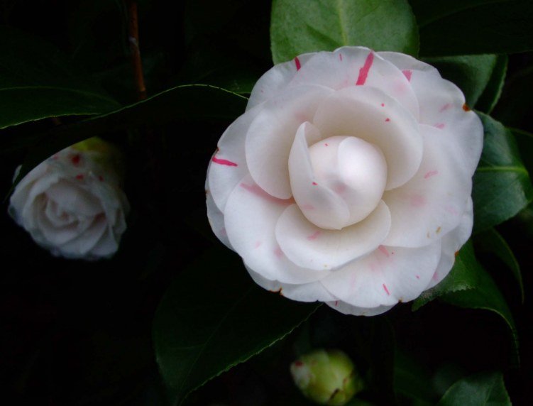�������� 2013-3-14 073.jpg
