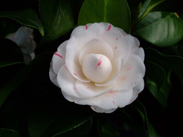 �������� 2013-3-14 139.jpg