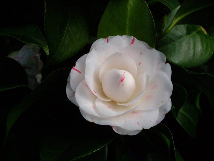 �������� 2013-3-14 140.jpg