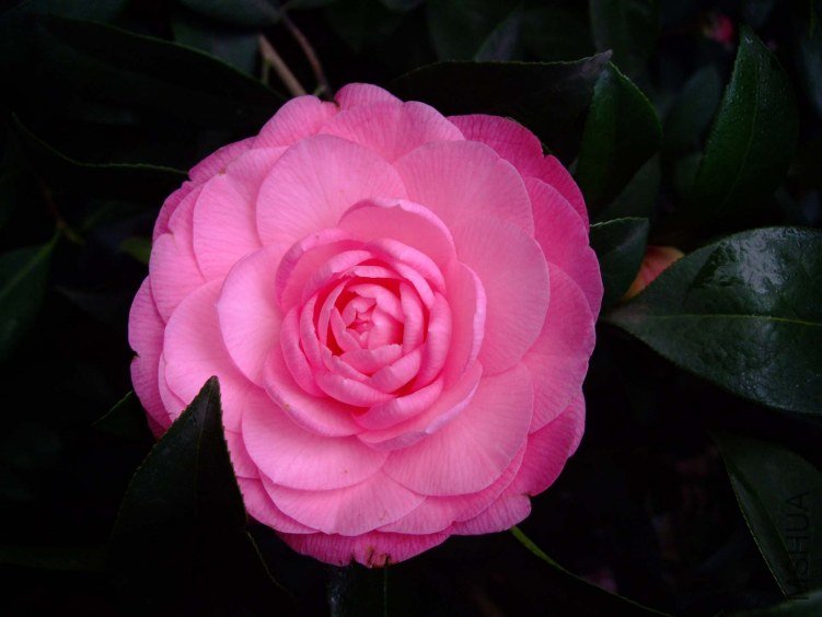 ̫���� 2013-3-14 070.jpg