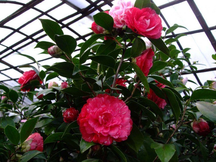 ԧ���� 2013-3-14 062.jpg