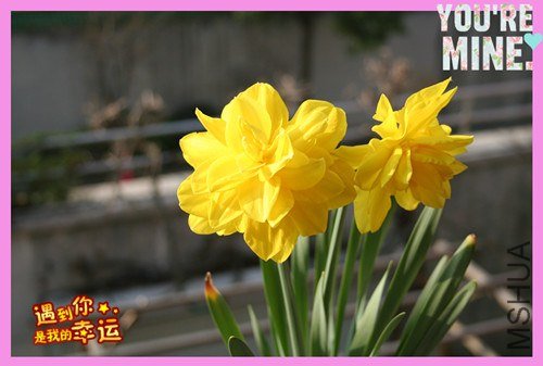 ��Ƭ 020_����.jpg