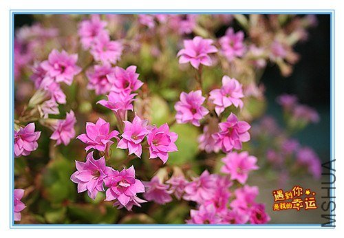 ��Ƭ 140_����.jpg