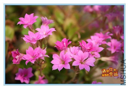 ��Ƭ 137_����.jpg