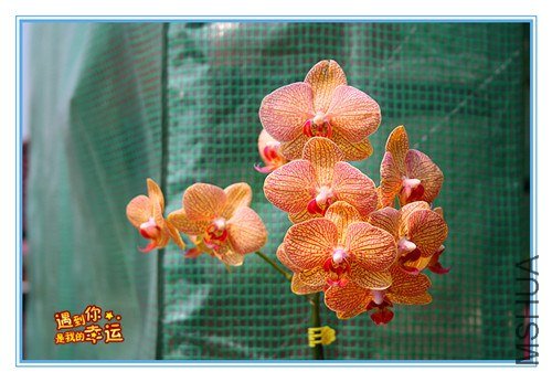 ��Ƭ 165_����.jpg