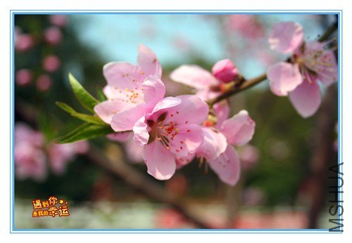 ��Ƭ 211_����.jpg