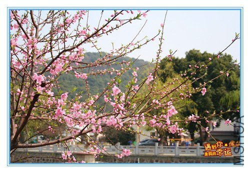 ��Ƭ 208_����.jpg