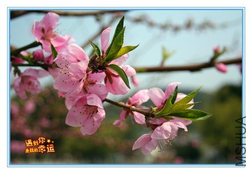 ��Ƭ 209_����.jpg