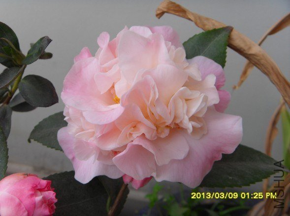 QQ��ͼ20130314141638.jpg