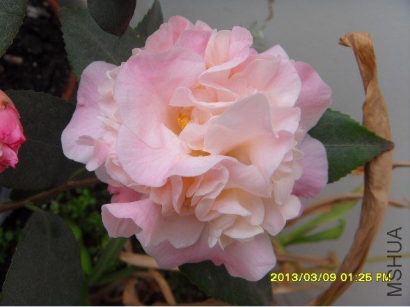 QQ��ͼ20130314141648.jpg