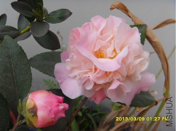 QQ��ͼ20130314141725.jpg