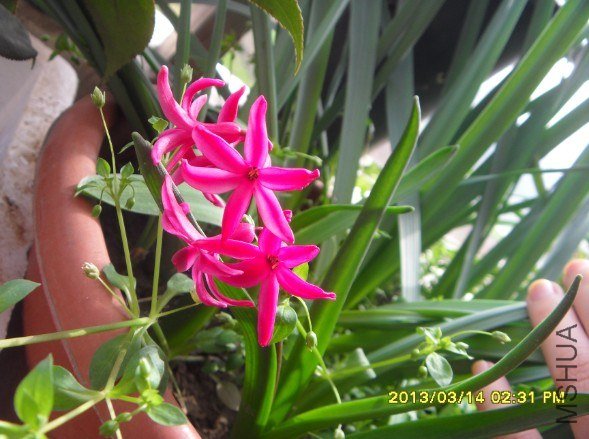 QQ��ͼ20130314141454.jpg