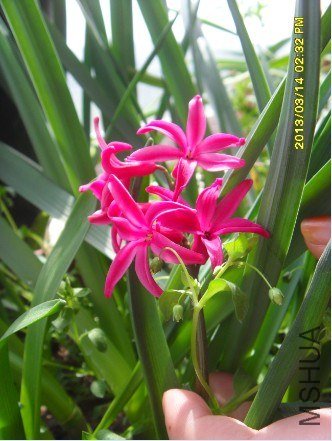 QQ��ͼ20130314141506.jpg