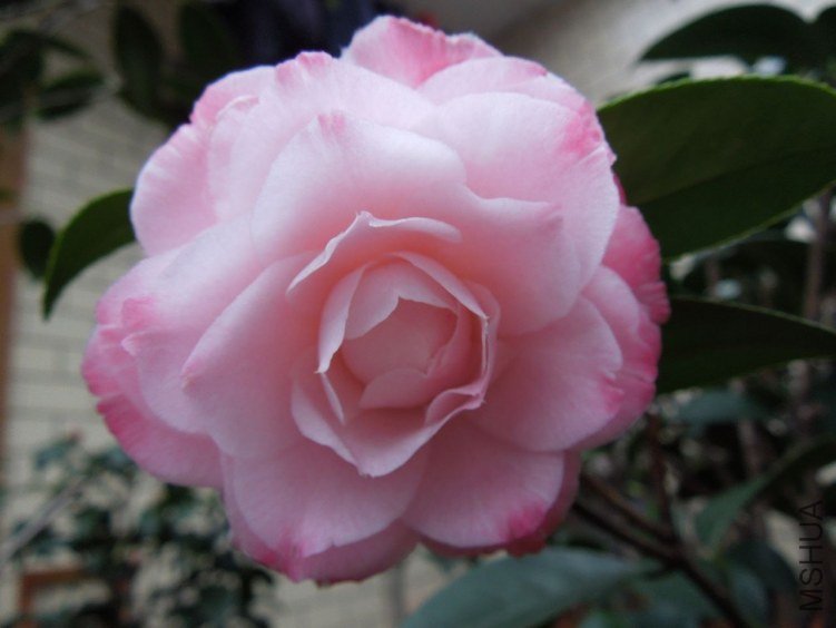 DSCN3023.JPG