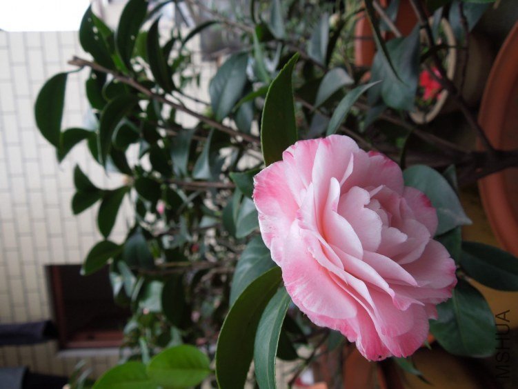 DSCN3025.JPG