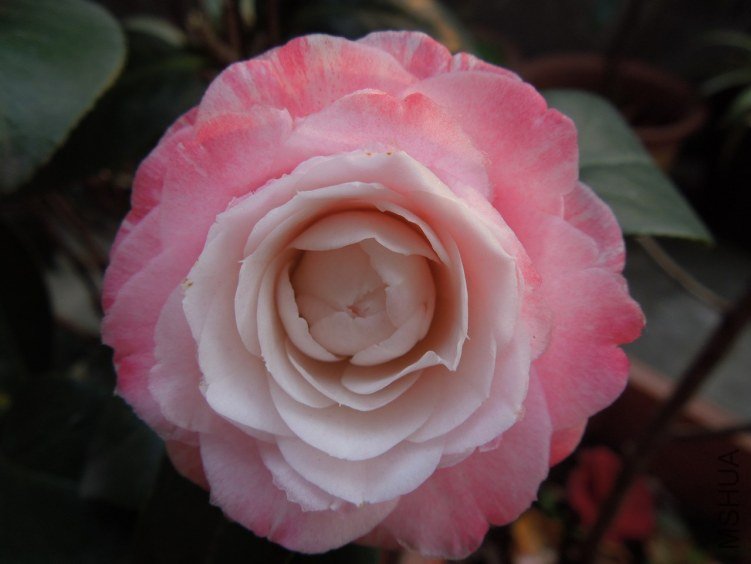 DSCN3130.JPG