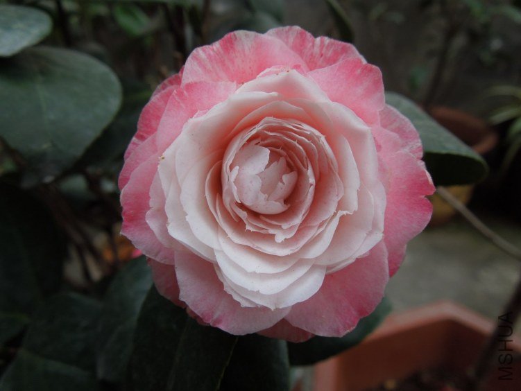 DSCN3151.JPG