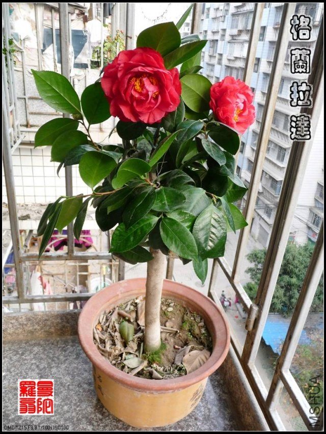 �����Ǵ�13.jpg