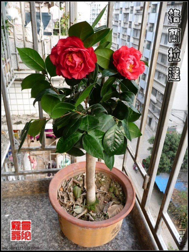 �����Ǵ�14.jpg