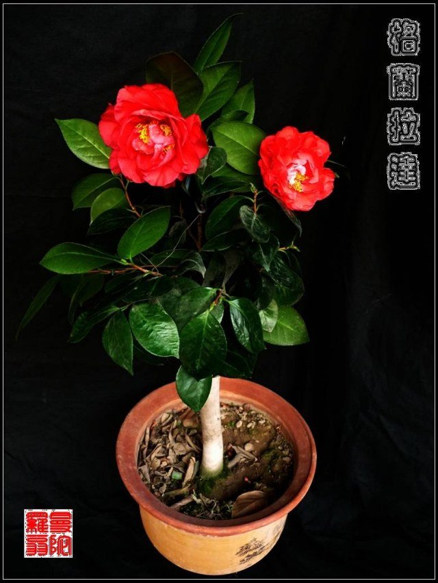 �����Ǵ�16.jpg