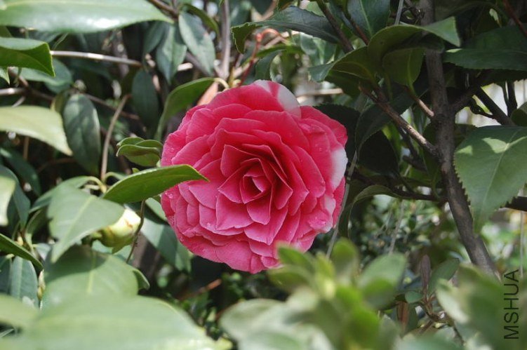 DSC_00590202.JPG
