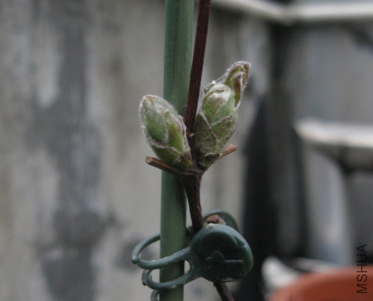 QQ��ͼ20130315003454.jpg
