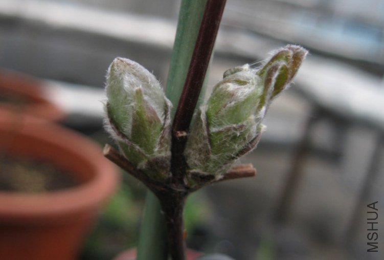 QQ��ͼ20130315003548.jpg